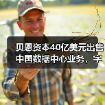 贝恩资本40亿美元出售中国数据中心业务，字节跳动成最大客户（图3）