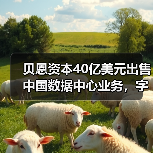 贝恩资本40亿美元出售中国数据中心业务，字节跳动成最大客户（图1）