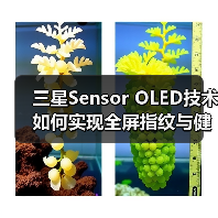 三星Sensor OLED技术如何实现全屏指纹与健康监测？（图1）