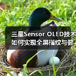 三星Sensor OLED技术如何实现全屏指纹与健康监测？（图2）