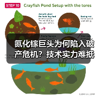 氮化镓巨头为何陷入破产危机？技术实力难抵债务缠身（图3）