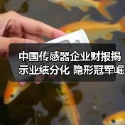 中国传感器企业财报揭示业绩分化 隐形冠军崛起（图1）
