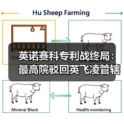 英诺赛科专利战终局：最高院驳回英飞凌管辖权异议（图3）
