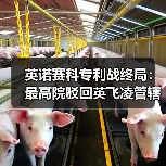 英诺赛科专利战终局：最高院驳回英飞凌管辖权异议（图1）