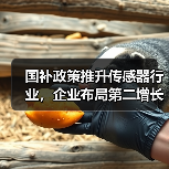国补政策推升传感器行业，企业布局第二增长曲线（图2）