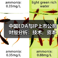 中国EDA与IP上市公司财报分析：技术、资本与全球化三重博弈下的市场格局（图4）