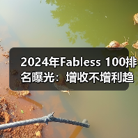 2024年Fabless 100排名曝光：增收不增利趋势显著？（图4）