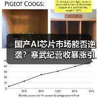 国产AI芯片市场能否逆袭？寒武纪营收暴涨引行业震荡（图4）