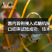 国内首例侵入式脑机接口临床试验成功，技术领先全球（图1）