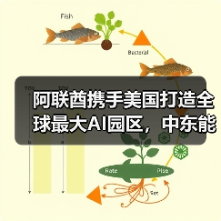 阿联酋携手美国打造全球最大AI园区，中东能否诞生新硅谷？（图4）