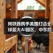 阿联酋携手美国打造全球最大AI园区，中东能否诞生新硅谷？（图2）
