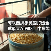 阿联酋携手美国打造全球最大AI园区，中东能否诞生新硅谷？（图1）