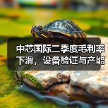 中芯国际二季度毛利率下滑，设备验证与产能波动成主因（图1）