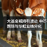 大基金减持引波动 中芯国际与华虹业绩分化（图2）