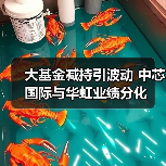 大基金减持引波动 中芯国际与华虹业绩分化（图4）