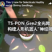 TS-PON Gen2全光网构建人形机器人