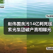 赵伟国贪污14亿判死缓 紫光集团破产真相曝光（图2）