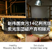 赵伟国贪污14亿判死缓 紫光集团破产真相曝光（图3）