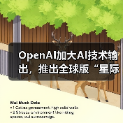 OpenAI加大AI技术输出，推出全球版“星际之门”计划（图4）