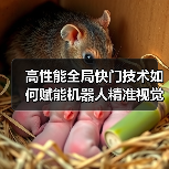高性能全局快门技术如何赋能机器人精准视觉感知？（图4）