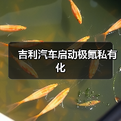 吉利汽车启动极氪私有化（图4）