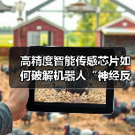 高精度智能传感芯片如何破解机器人“神经反射”难题？（图4）