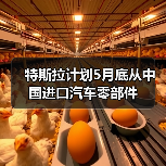 特斯拉计划5月底从中国进口汽车零部件（图1）