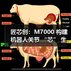 匠芯创：M7000 构建机器人关节 “芯” 生态，解码从处理器到控制算法生态闭环（图3）