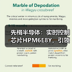 先楫半导体：实时控制芯片HPM6E8Y，引领机器人关节 “芯” 时代（图1）