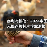 净利润翻倍！2024中国无线连接芯片企业财报爆发（图2）