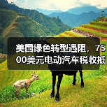 美国绿色转型遇阻，7500美元电动汽车税收抵免或将取消（图4）