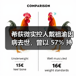 希荻微实控人戴祖渝因病去世，曾以 57% 持股奠定公司创立基石（图3）