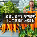 政策大转弯！美国废除《人工智能扩散规则》（图2）