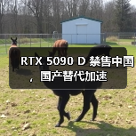 RTX 5090 D 禁售中国，国产替代加速（图2）