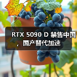 RTX 5090 D 禁售中国，国产替代加速（图1）