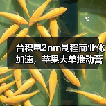 台积电2nm制程商业化加速，苹果大单推动营收增长（图1）
