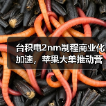 台积电2nm制程商业化加速，苹果大单推动营收增长（图4）