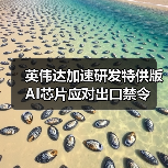 英伟达加速研发特供版AI芯片应对出口禁令（图4）