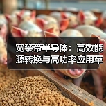 宽禁带半导体：高效能源转换与高功率应用革新（图2）