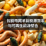 智能电网革新能源效率与可再生能源整合（图1）