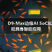 D9-Max边缘AI SoC赋能具身智能应用（图2）