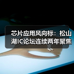 芯片应用风向标：松山湖IC论坛连续两年聚焦机器人（图4）