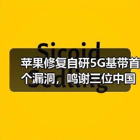 苹果修复自研5G基带首个漏洞，鸣谢三位中国专家（图4）