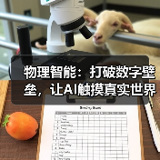 物理智能：打破数字壁垒，让AI触摸真实世界（图2）
