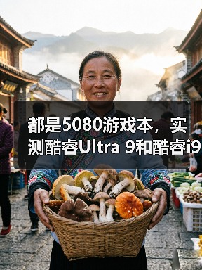 都是5080游戏本，实测酷睿Ultra 9和酷睿i9性能差异有多大？（图4）