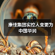 康佳集团实控人变更为中国华润（图1）