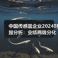 中国传感器企业2024财报分析：业绩两级分化，“隐形冠军”涌现（图4）