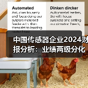 中国传感器企业2024财报分析：业绩两级分化，“隐形冠军”涌现（图3）