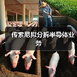 传索尼拟分拆半导体业务（图4）