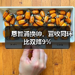 恩智浦换帅，营收同环比双降9%（图1）